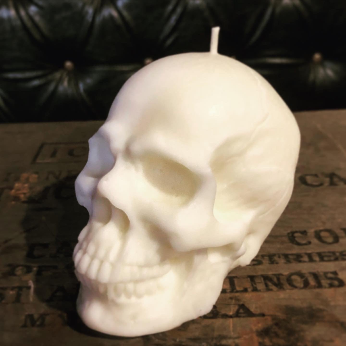 Skull Candle
